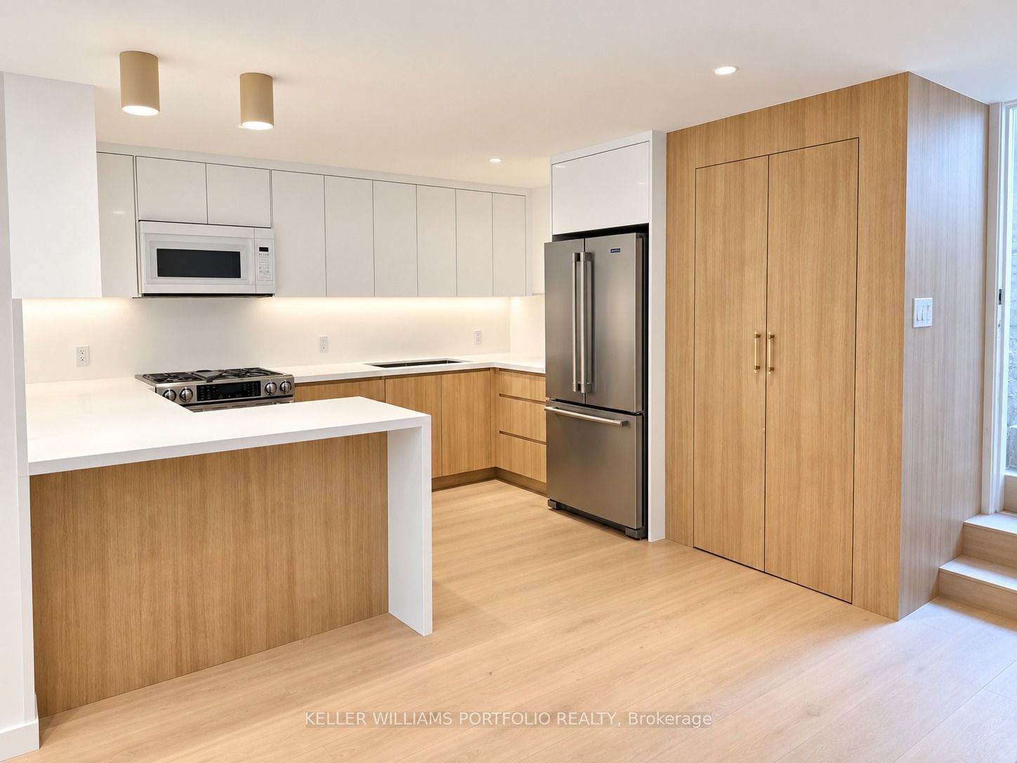 Unit Lower - 127 Lisgar Street, Toronto 2