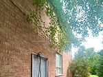 Unit Basement - 97 Long Point Drive, Richmond Hill 2